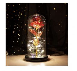 OFERTA AMAZON! Rosa Infinity Rose a 19,6€