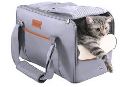 OFERTA AMAZON! Transportin para mascotas por 27€