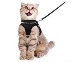 OFERTA AMAZON! Arnes Gato con Correa de 150cm Joyo a 6,9€