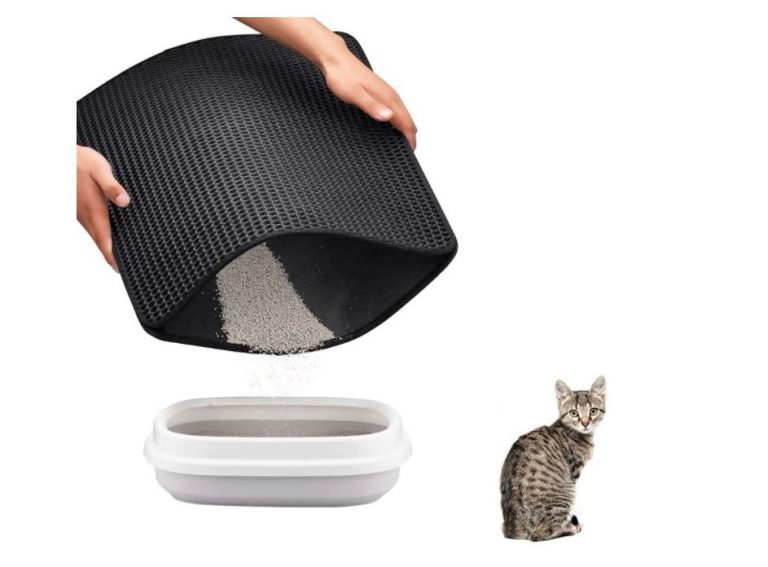 OFERTITA AMAZON! Estera de Arena para Gatos a 13€
