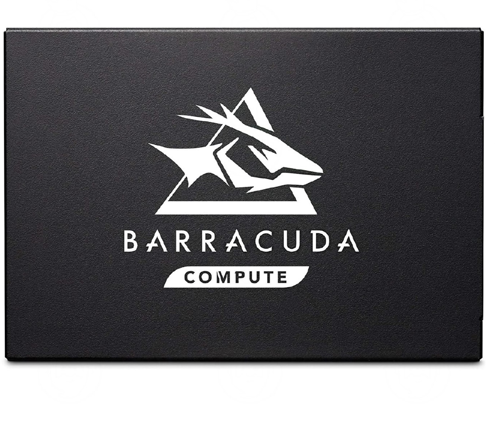 barracuda