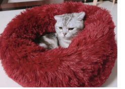 OFERTITA AMAZON! Cama Gatos a 13,9€