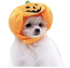 OFERTITA AMAZON! Gorra de Calabaza perro a 6,5€