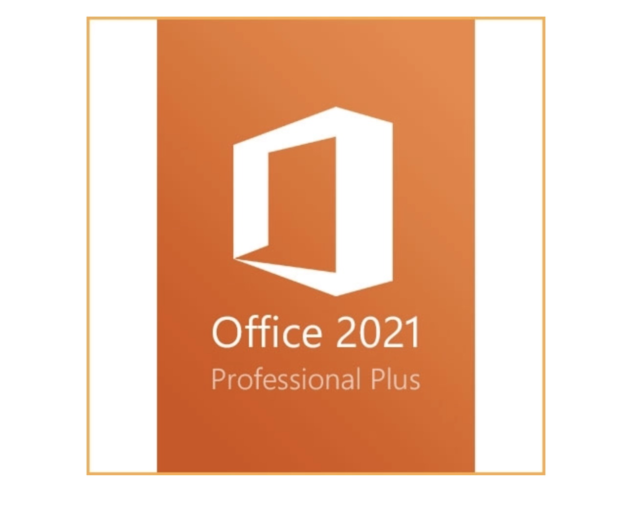 Microsoft Office 2021 Professional Pro Plus