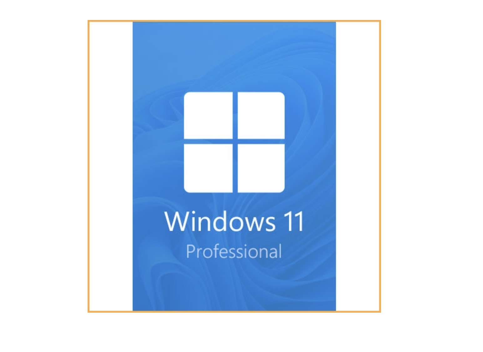 Microsoft Office 2021 Professional Plus y Windows 11 Professional
