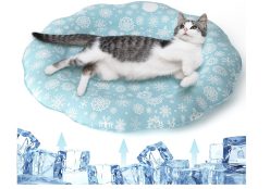 OFERTA AMAZON! Alfombra refrescante para perro a 23€