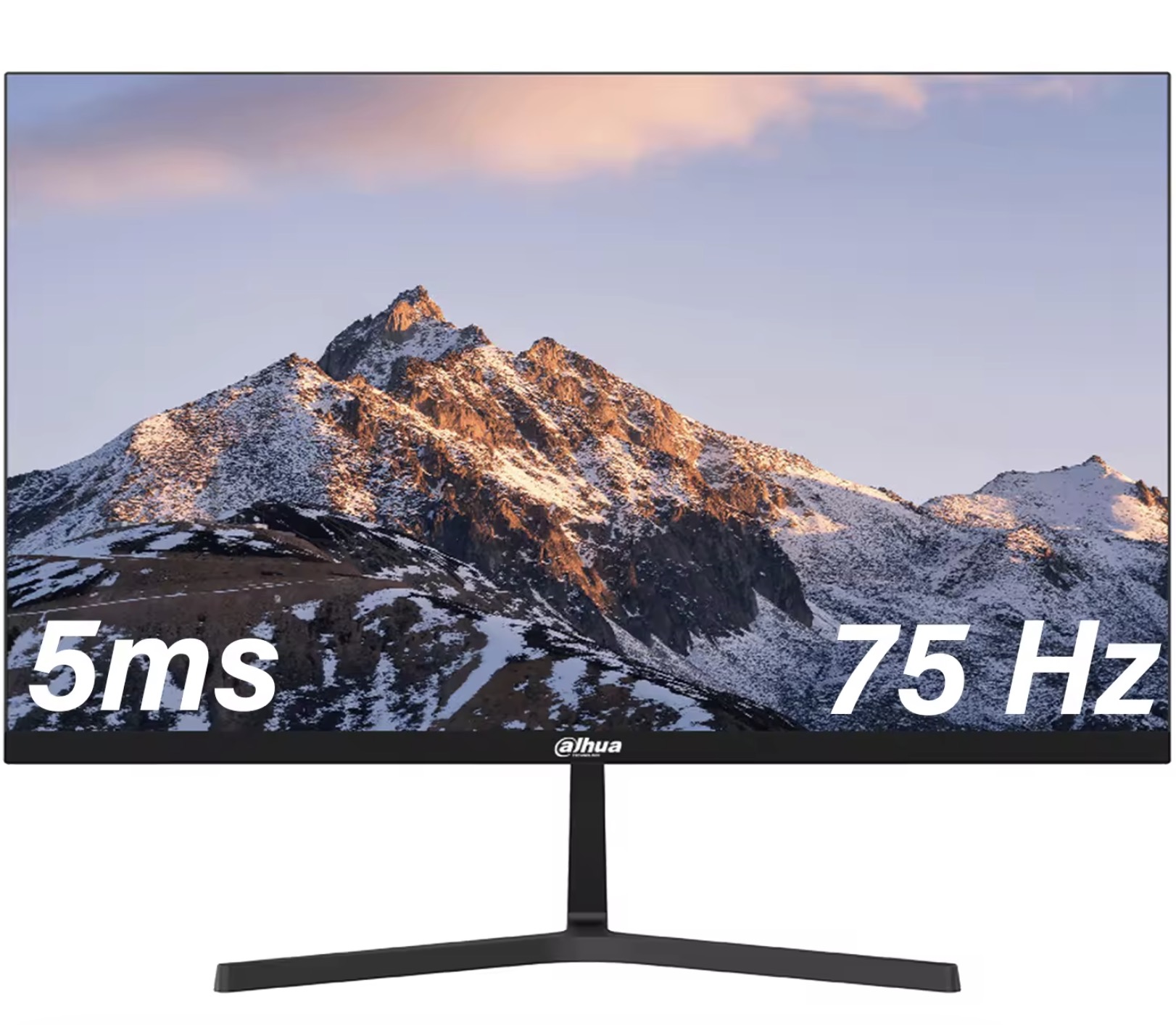 Monitor Dahua