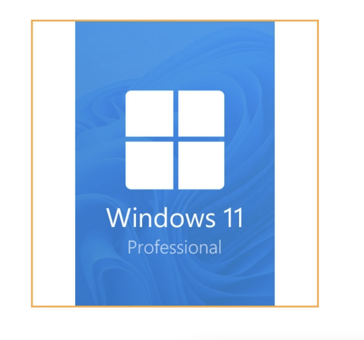 Microsoft Windows 11 Profesional