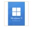 Microsoft Office 2021 Professional Plus y Windows 11 Professional